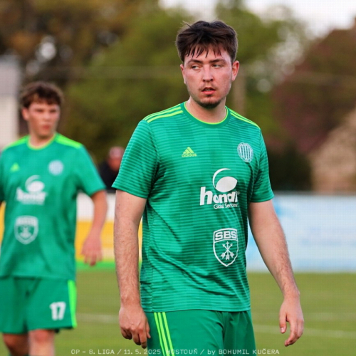 sh-olovnice (19).jpg