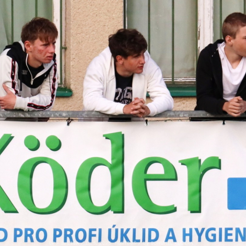 sh-olovnice (20).jpg