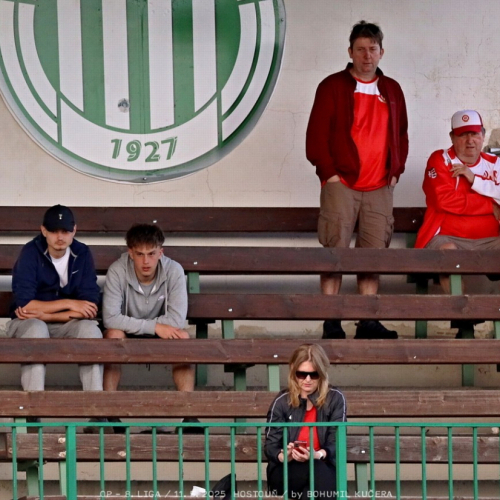 sh-olovnice (22).jpg