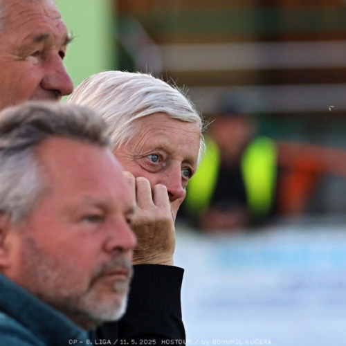 sh-olovnice (24).jpg