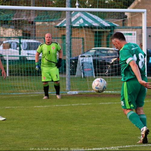 sh-olovnice (28).jpg