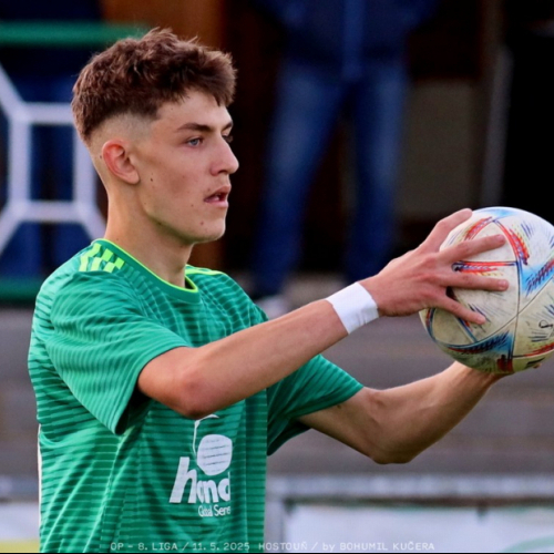 sh-olovnice (27).jpg