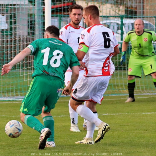 sh-olovnice (29).jpg