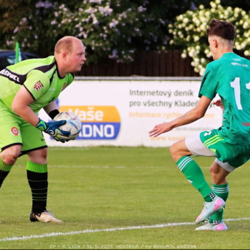 sh-olovnice (31).jpg