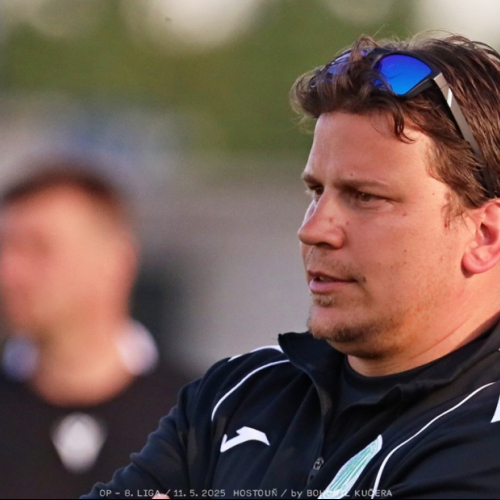 sh-olovnice (35).jpg