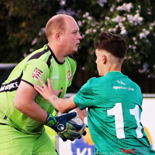 sh-olovnice (32).jpg