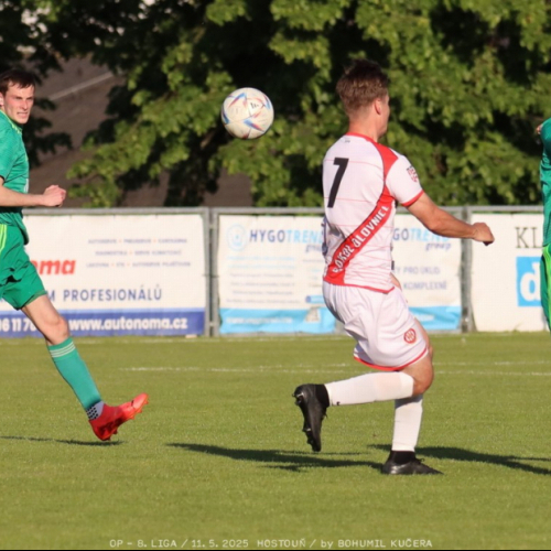 sh-olovnice (40).jpg