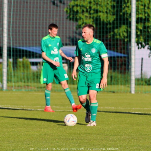 sh-olovnice (41).jpg