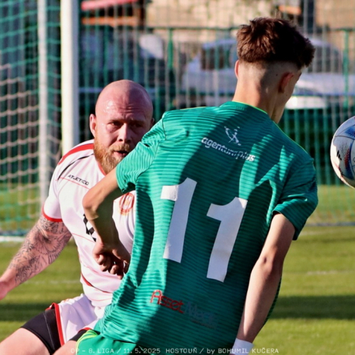 sh-olovnice (43).jpg