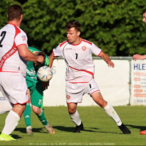 sh-olovnice (45).jpg