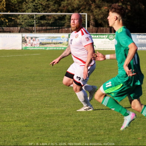 sh-olovnice (42).jpg