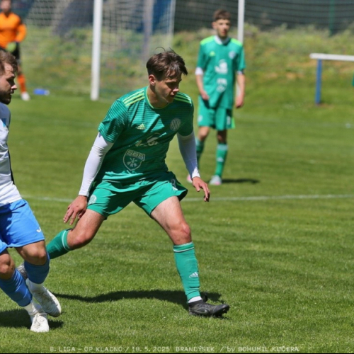 brandysek-sh (2).jpg