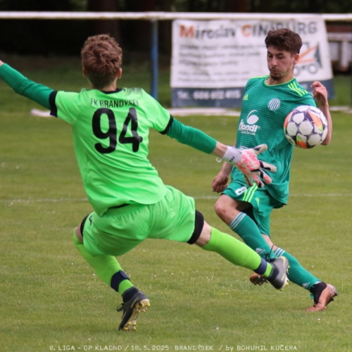 brandysek-sh (0).jpg