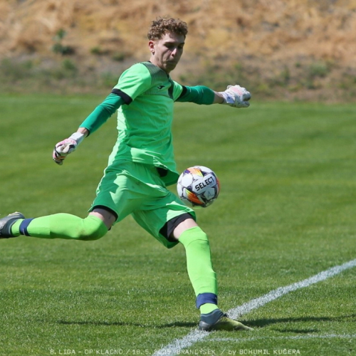 brandysek-sh (13).jpg