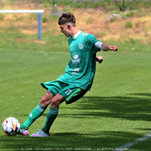 brandysek-sh (16).jpg