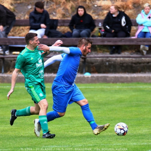 brandysek-sh (18).jpg