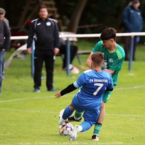 brandysek-sh (33).jpg