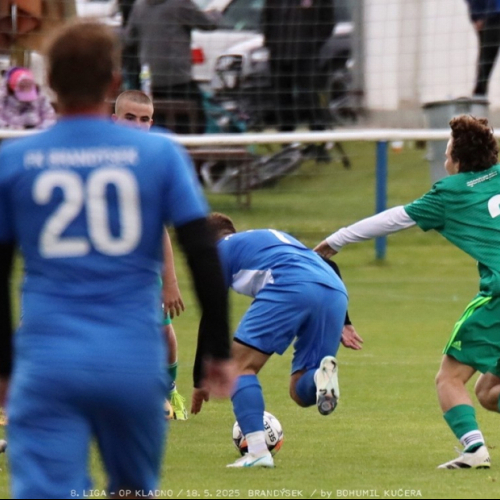 brandysek-sh (45).jpg