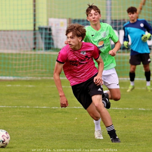 sh17-vyzlovka (22).jpg