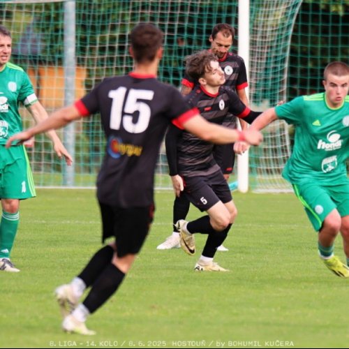 sh-svermov (34).jpg