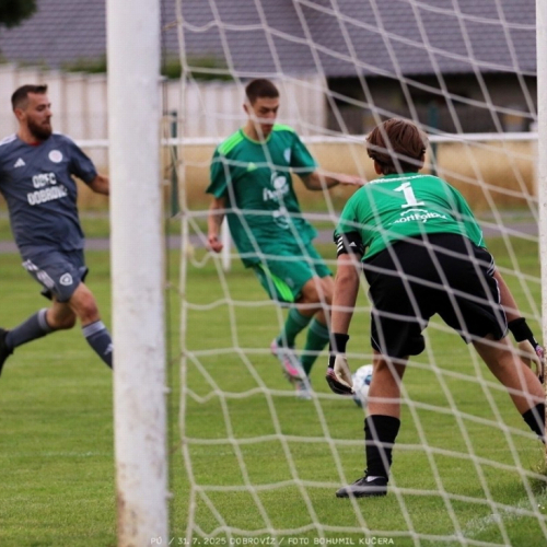 dobrovíz-sh (2).jpg