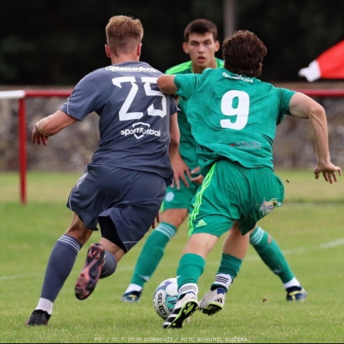 dobrovíz-sh (6).jpg