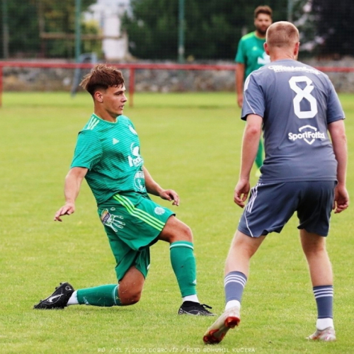 dobrovíz-sh (5).jpg