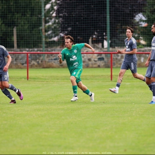 dobrovíz-sh (9).jpg