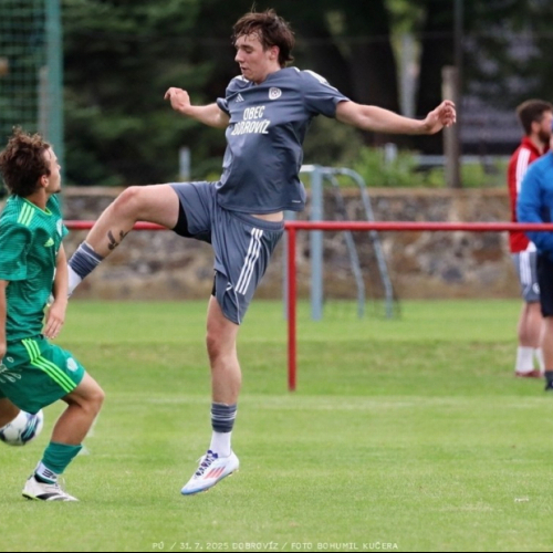 dobrovíz-sh (11).jpg