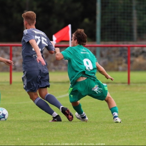 dobrovíz-sh (7).jpg