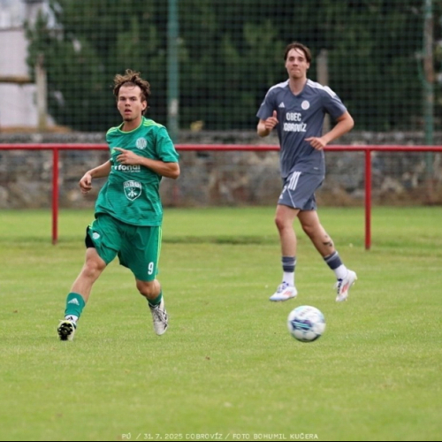 dobrovíz-sh (10).jpg