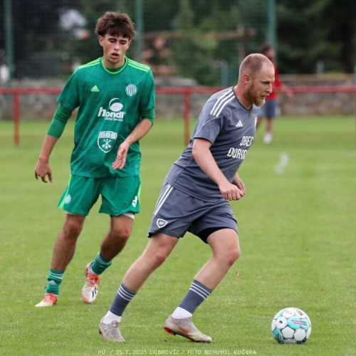 dobrovíz-sh (13).jpg