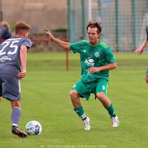 dobrovíz-sh (16).jpg