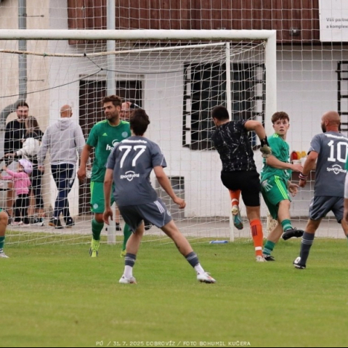 dobrovíz-sh (14).jpg