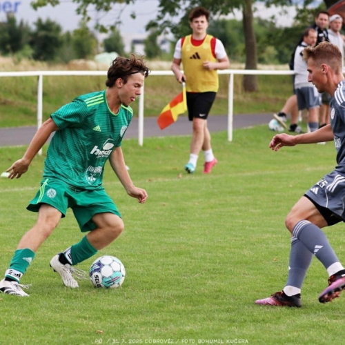 dobrovíz-sh (23).jpg