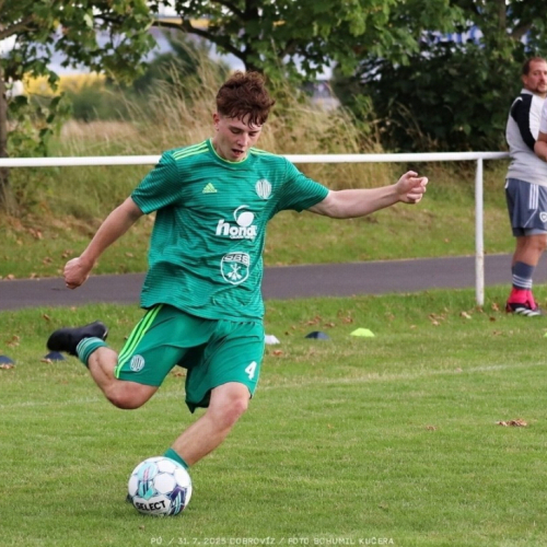 dobrovíz-sh (27).jpg