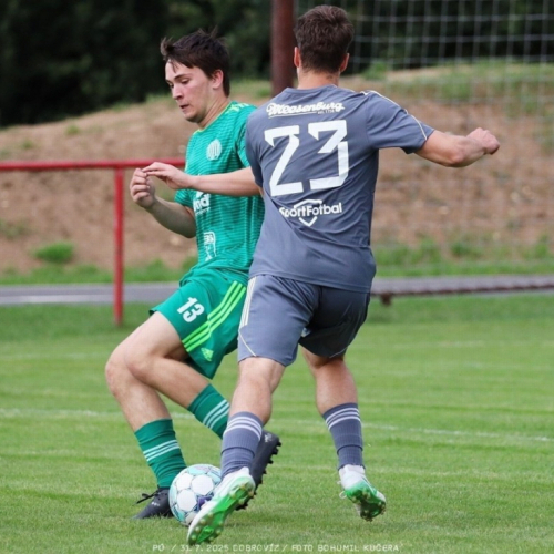 dobrovíz-sh (30).jpg