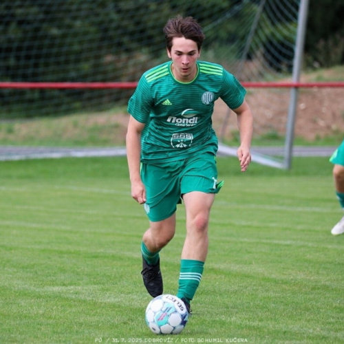 dobrovíz-sh (31).jpg