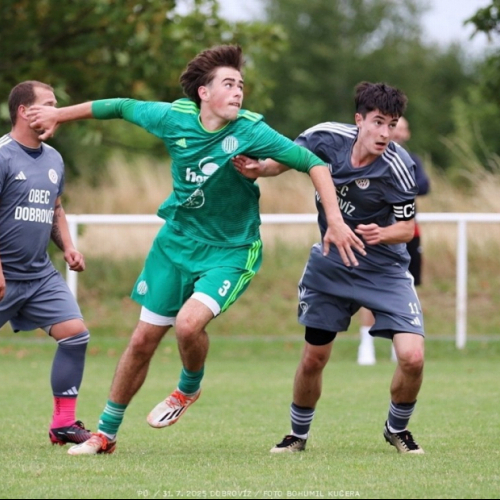 dobrovíz-sh (40).jpg