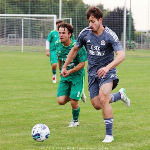 dobrovíz-sh (44).jpg