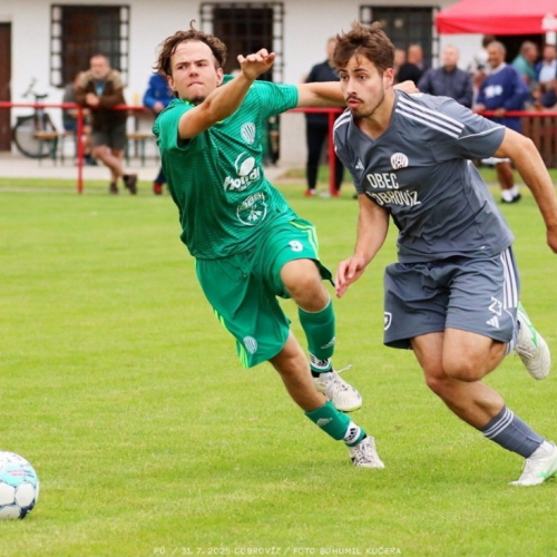 dobrovíz-sh (42).jpg