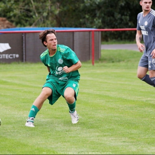 dobrovíz-sh (45).jpg