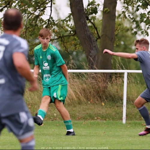 dobrovíz-sh (46).jpg