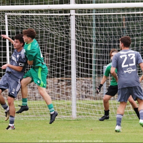 dobrovíz-sh (47).jpg