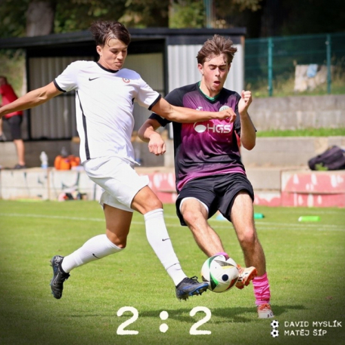 sp.pribram-sh19 (0).jpg