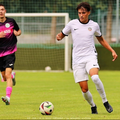 sp.pribram-sh19 (8).jpg