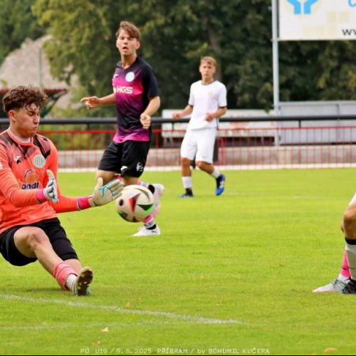 sp.pribram-sh19 (7).jpg