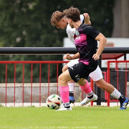 sp.pribram-sh19 (16).jpg