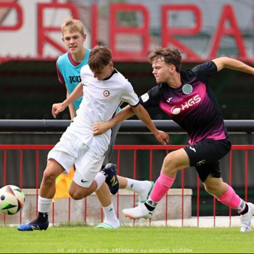 sp.pribram-sh19 (17).jpg