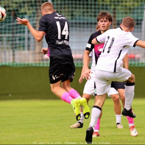 sp.pribram-sh19 (12).jpg